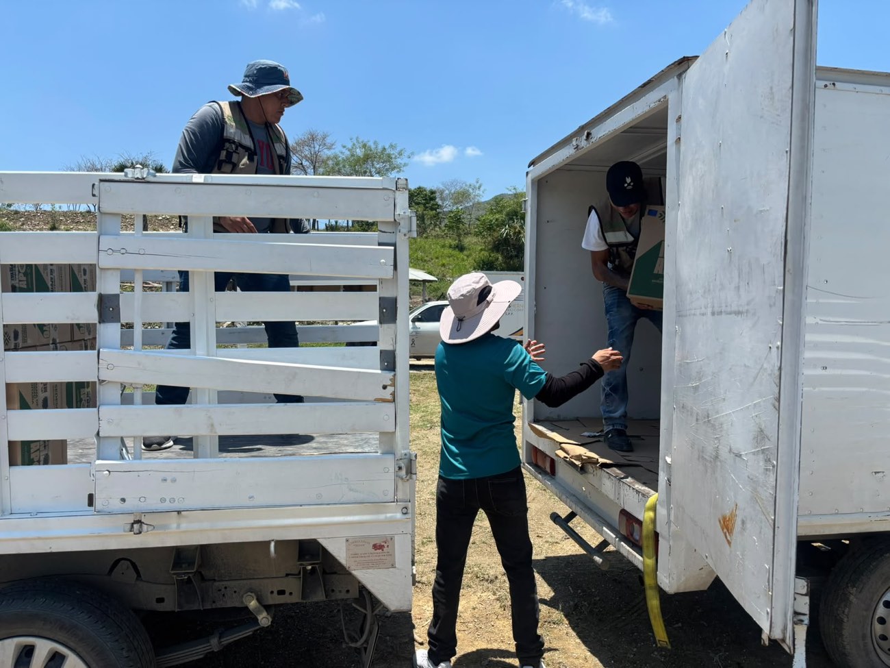 Personal de RLC Express cargando cajas entre unidades durante una entrega en el Bajío